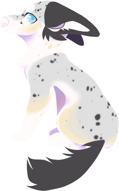 Gray Wolf (894x894)