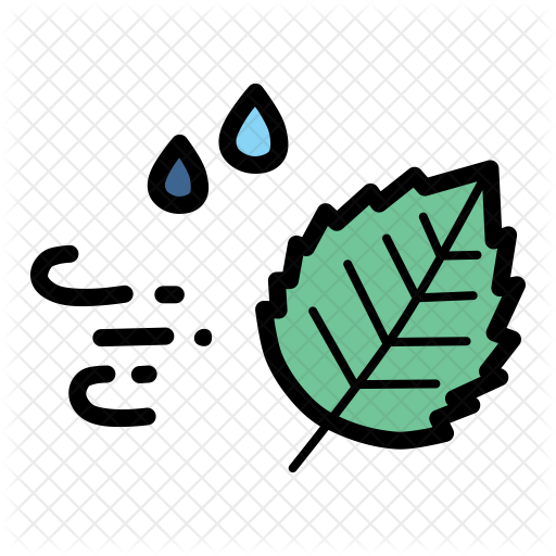 Leaf Fall Icon - Autumn (512x512)
