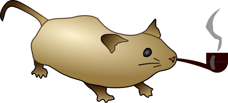 320 × 146 Pixels - Mouse Common Creative Zero (800x364)