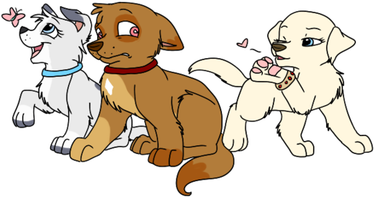 Puppy (543x301)