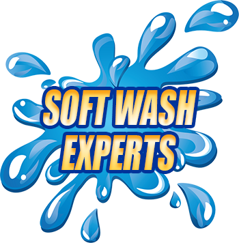 Soft Wash Cleaners - Cleaner (350x356)