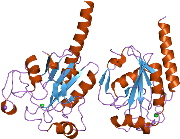 Gpx3 - Gpx3 Structure (800x600)