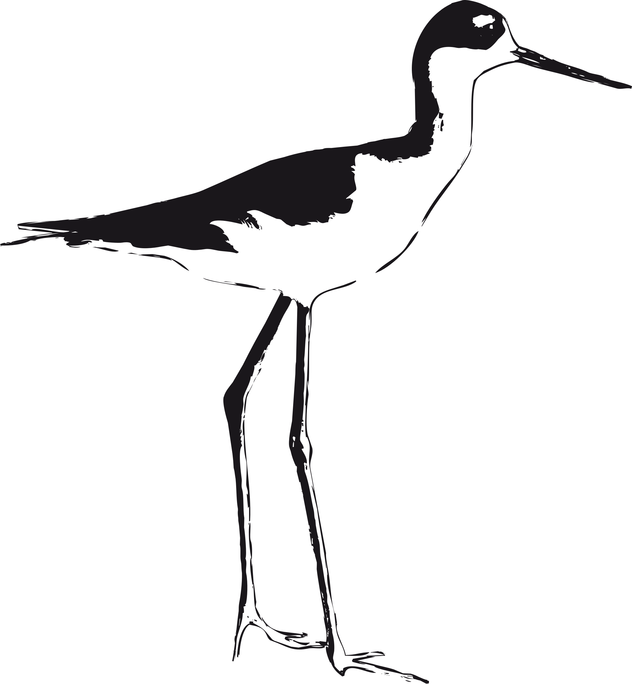 Big Image - Stilt Birds Illustrations (2216x2400)