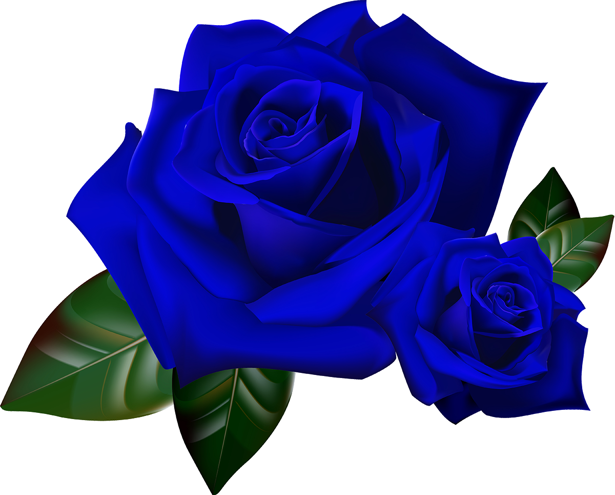 Rose Border Transparent (1200x965)