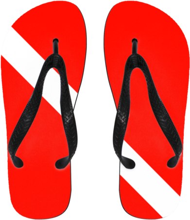 Flip Flops - Small - Do Skin. Flip Flops (480x480)