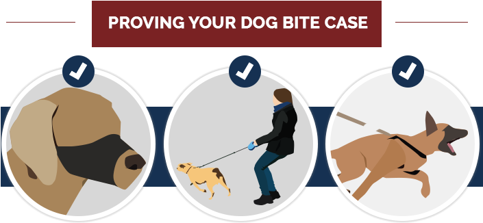 Dog Bite (705x380)