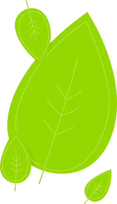 Discover The Matcha Difference - Discover The Matcha Difference (399x694)