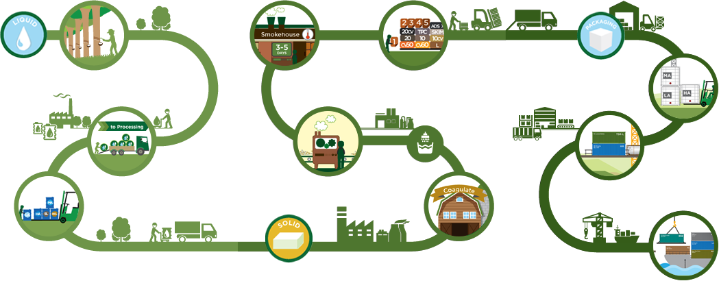Natural Rubber Process - Natural Rubber Production Process (1049x410)