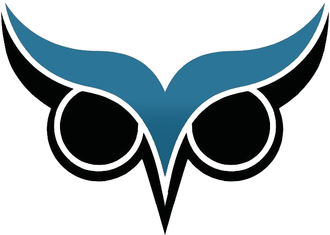 Brow Analytics Three Years - Owl Eye Vector Png (711x543)