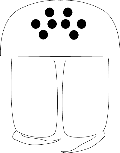 A - A (400x511)