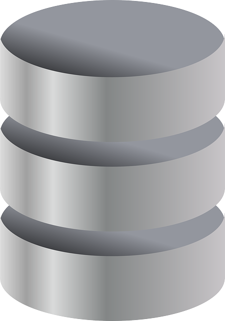 Database & Data Warehouses - Cilindros Vector Png (450x640)