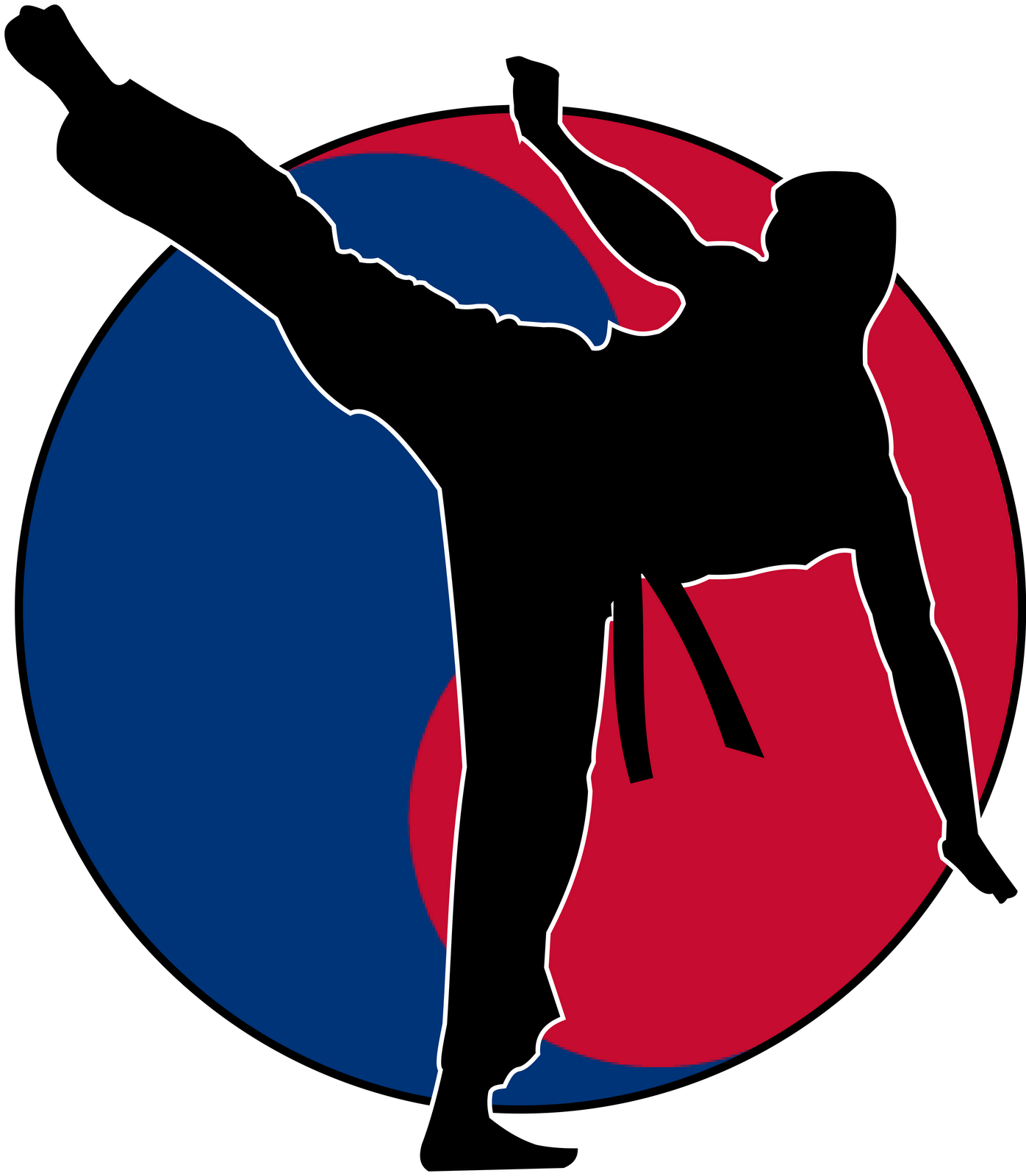 Tae Kwon Do - Tiquando (1396x1600)