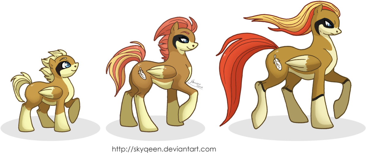 Mysweetqueen, Evolution Chart, Pegasus, Pidgeot, Pidgeotto, - Evolution (1280x760)