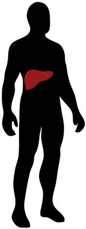 Clip Art (252x499)