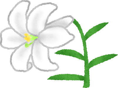 Lily - Frangipani (402x300)