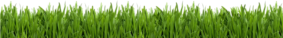 Green Grass - Lawn Care Business Guide [book] (940x434)
