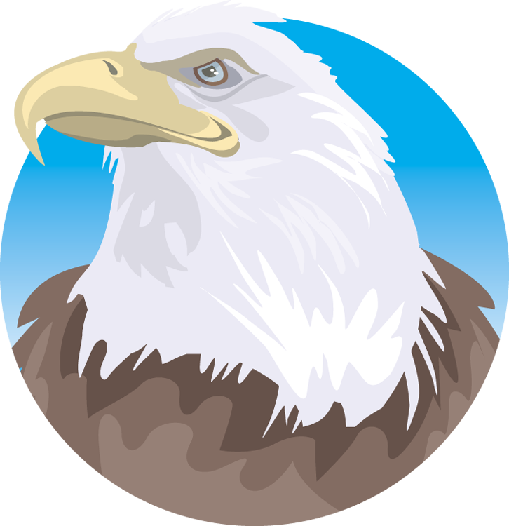 Bald Eagle - Clip Art (726x750)