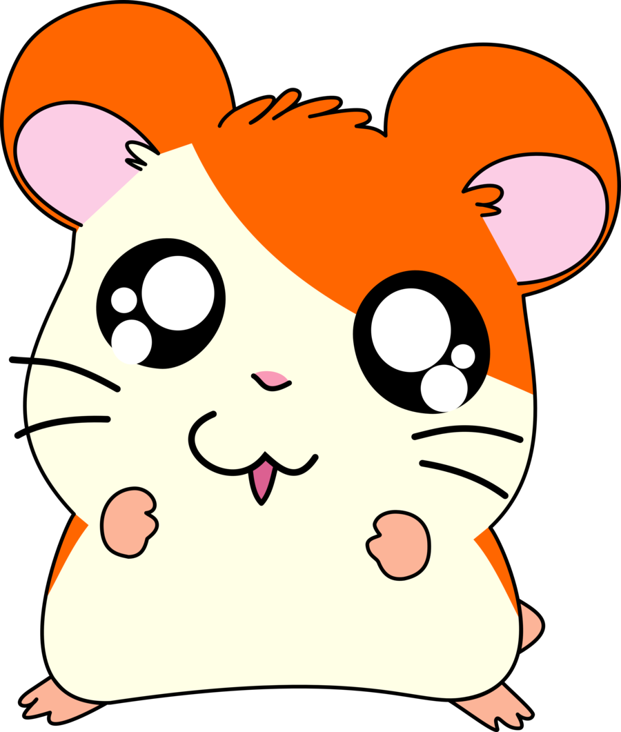 Hamtaro - Hamster Kawaii (900x1061)