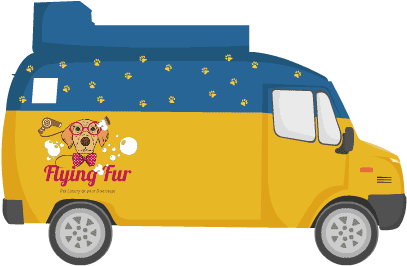 Home Van - Cat (500x375)