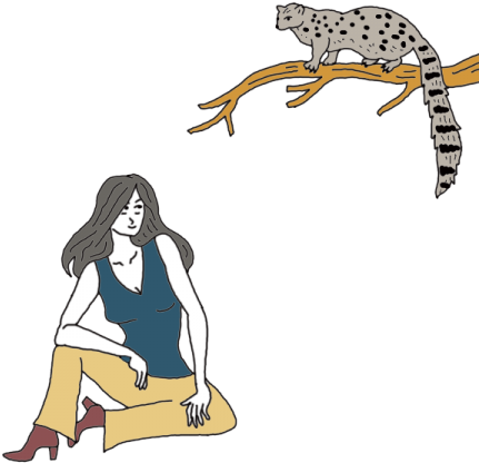 Palm Civet - Illustration (450x450)