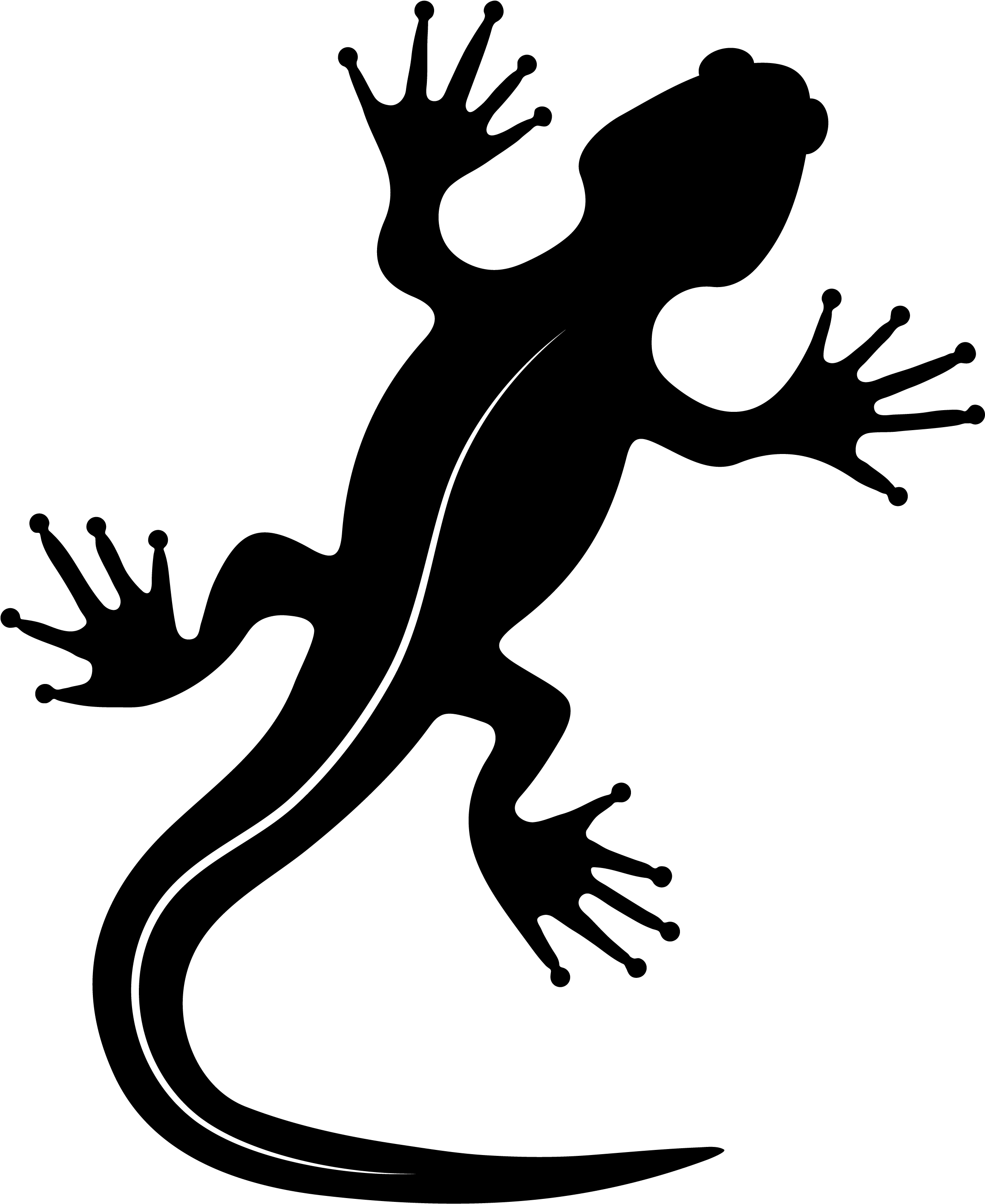 Gecko (2551x3300)