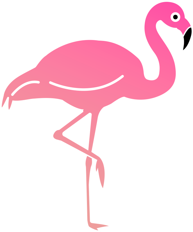 Greater Flamingo (1024x1024)