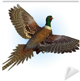 Green Pheasant Fly Png (400x400)