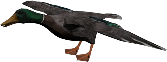 Duck - Alexandre Pato (640x480)