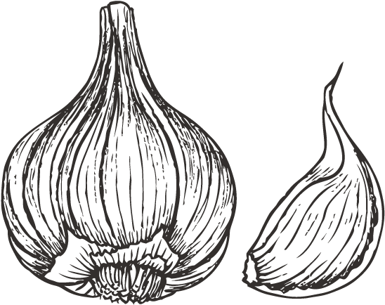 Garlic Drawing Png - Vegetable (600x600)