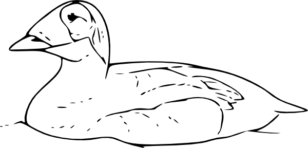 Swimming Duck Outline (600x288)