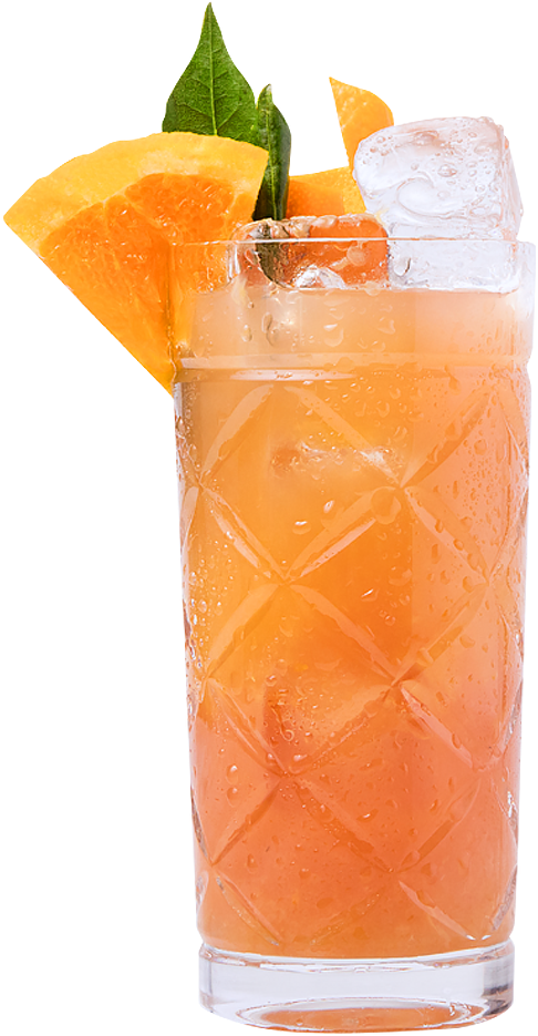 Neva Left Gin & Juice - Zombie (493x1078)