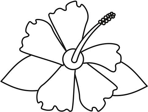 Hibiscus Flower Exotic Thin Line - Rosemallows (550x550)