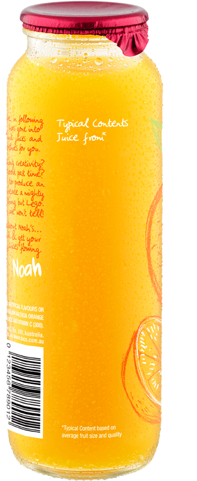 Noahs Creative Juices Bottle Size (487x1041)