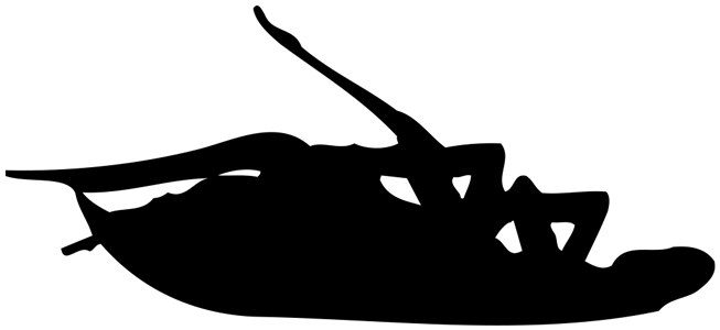 Papa Roach Image - Papa Roach Roach Logo (800x310)