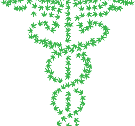 Cannabis (848x480)
