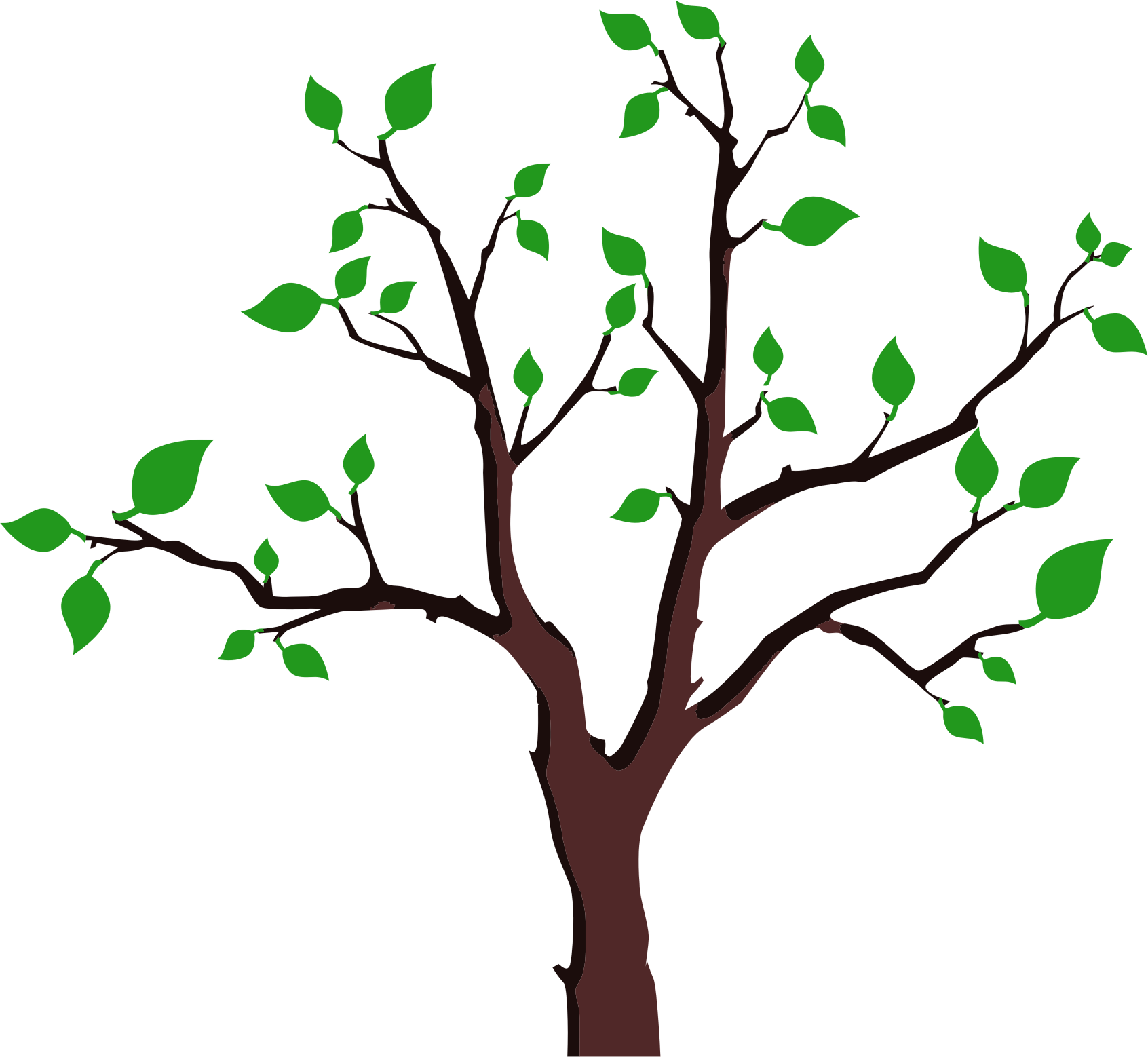 Foliage Tree - Tree With Sparse Leaves (1692x1558)