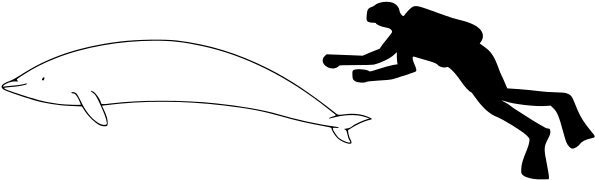 320 × 101 Pixels - 320 × 101 Pixels (640x202)