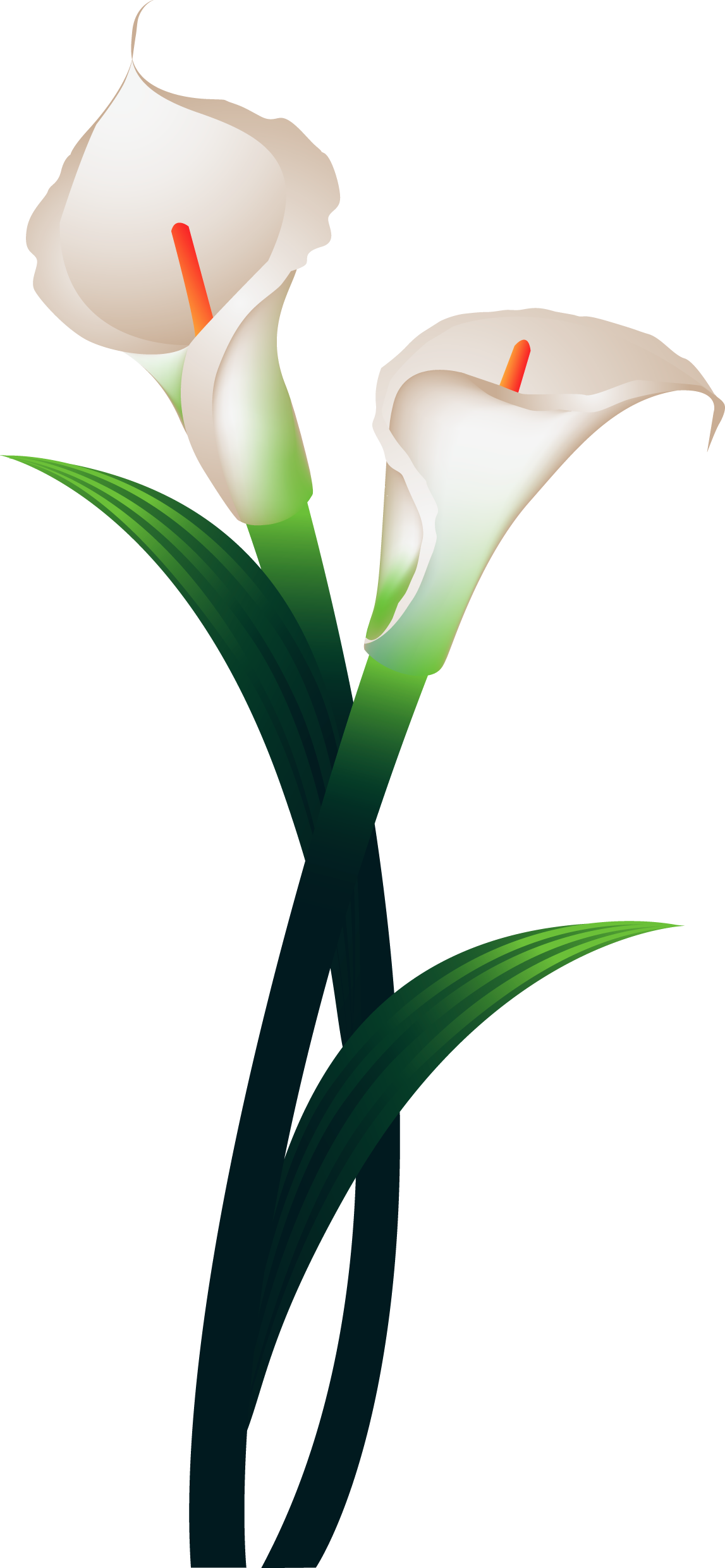 Explore These Ideas And More - カラー 花 絵 (1147x2481)