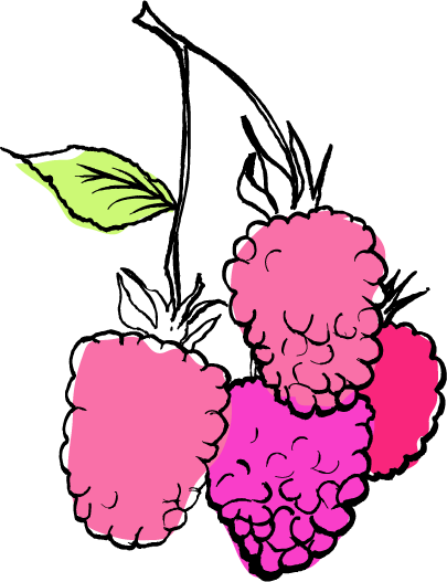 Raspberries - Raspberries (405x527)