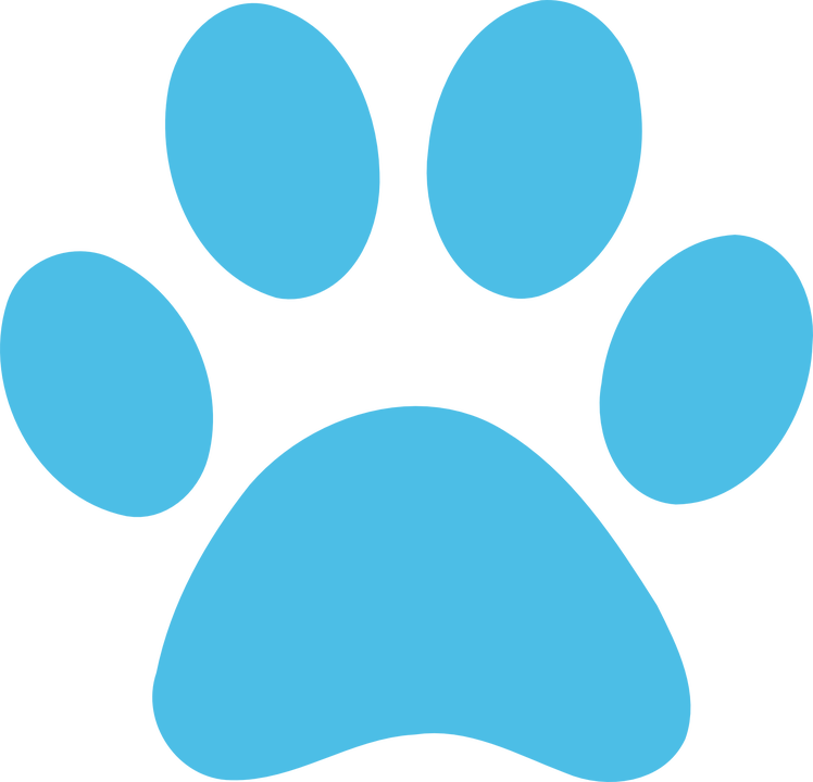 Purple Paw Print Transparent Background (748x720)