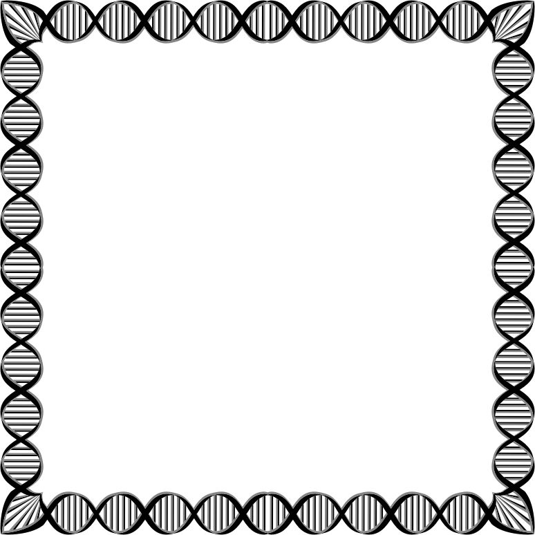 Medium Image - Medium Image (774x774)
