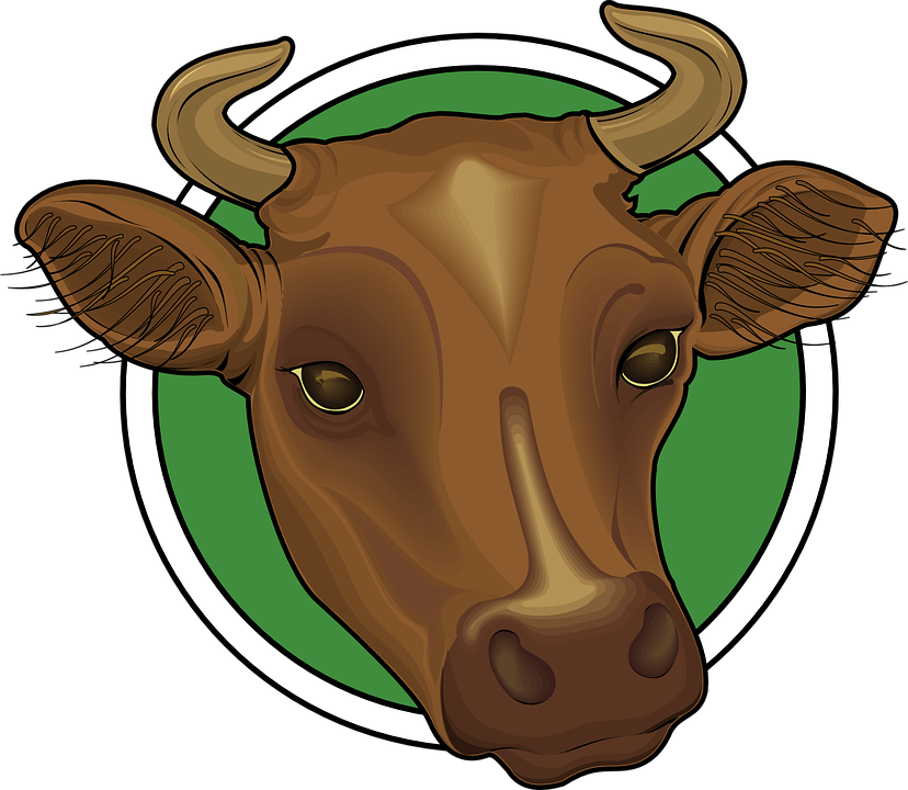 Cabeza De Vaca Png (828x720)