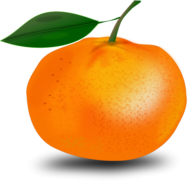 Orange Clipart Transparent Background (800x800)