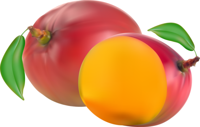 Clip Art - Mangue Vector (639x407)