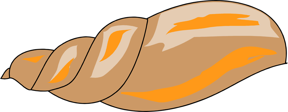 Shell Clipart Transparent Background - Shell Clipart Transparent Background (958x373)