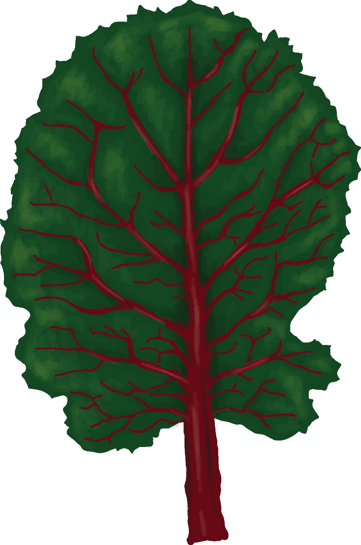 The Cookbook Includes Recipes Using Ingredients That - Chard (1168x1763)