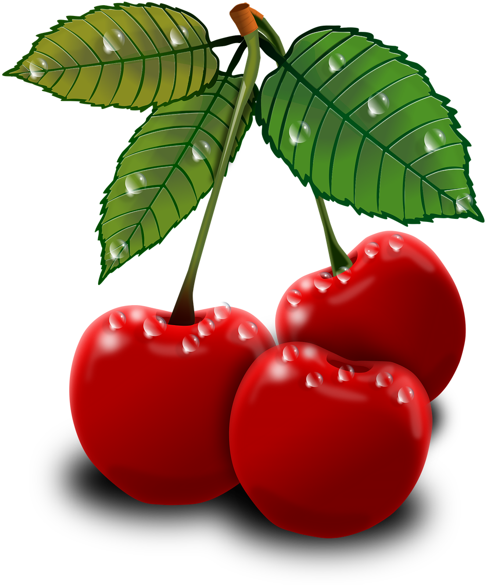 Cherry Clip Art - Cherry Clip Art (1077x1280)