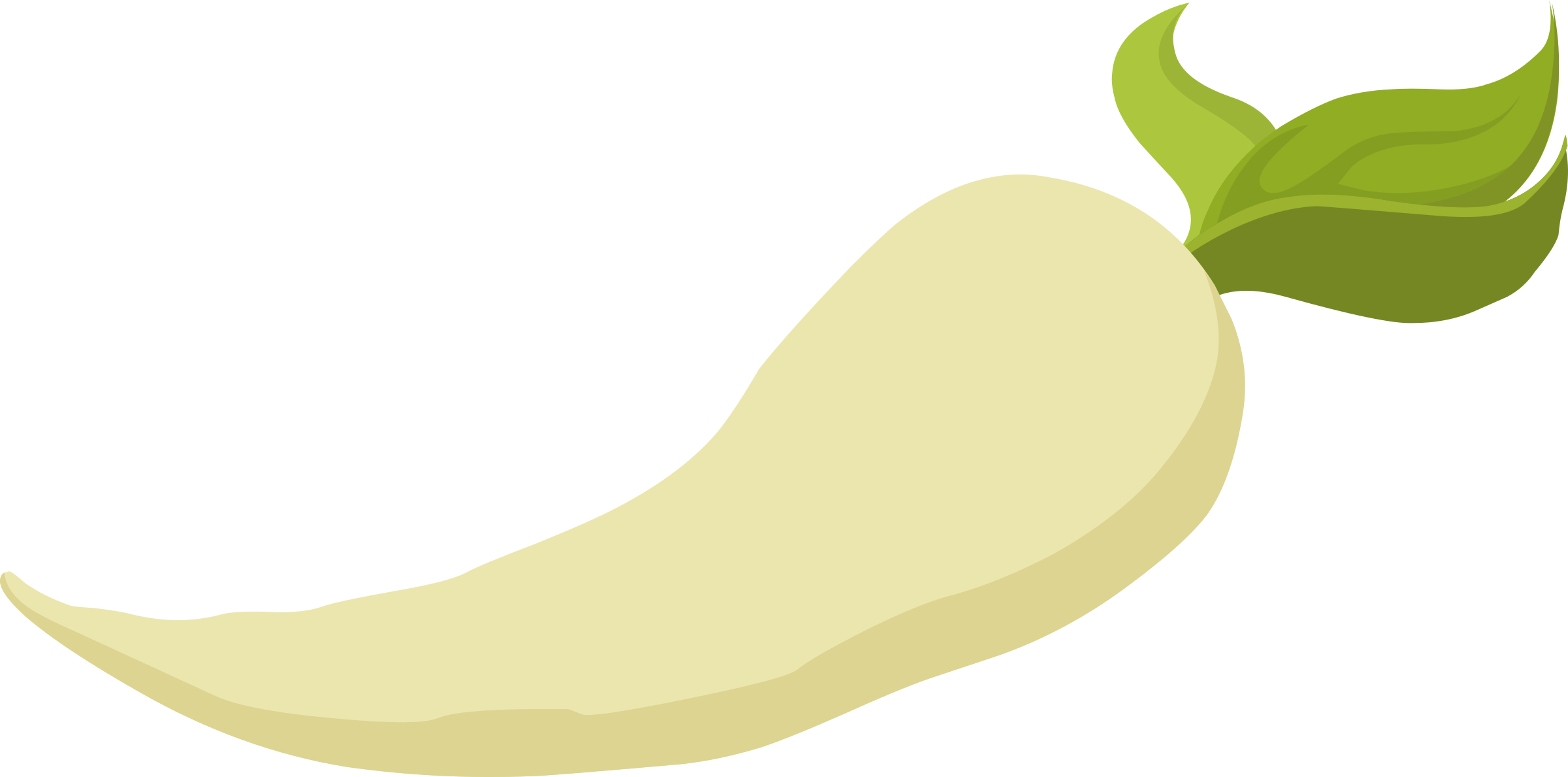 Food Parsnip - Scalable Vector Graphics (2400x1189)