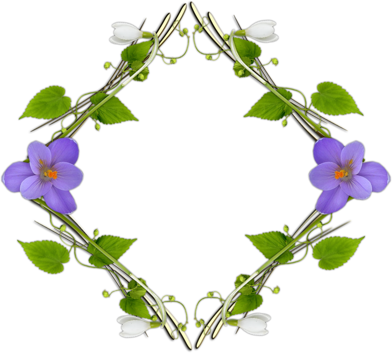 Violets Frames - Viola (800x720)