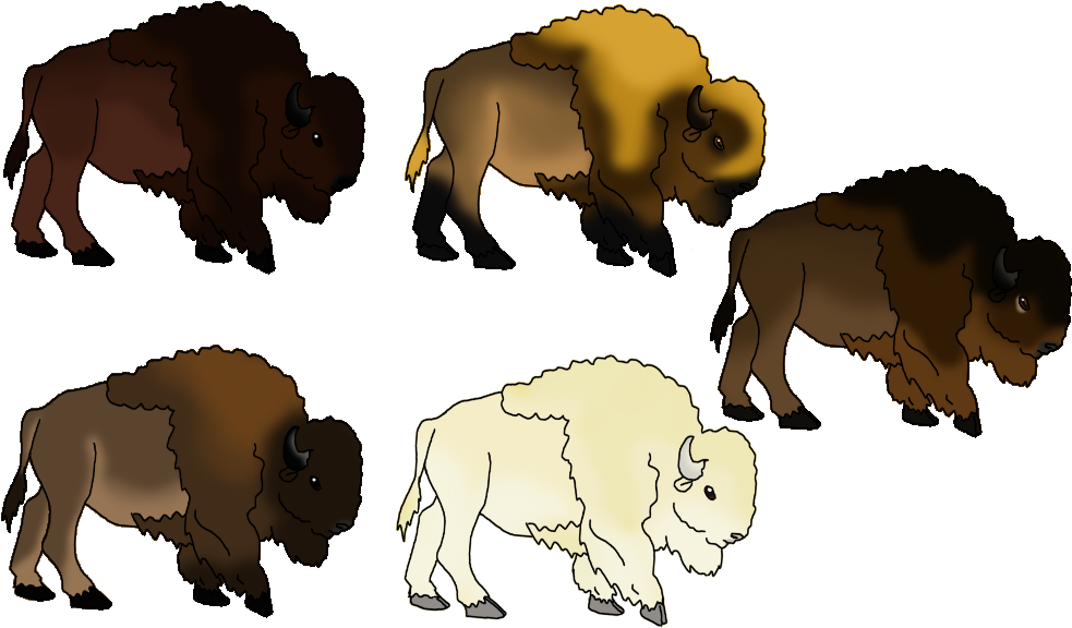 Bison Herd By J4-coltrain - Bison (1000x656)